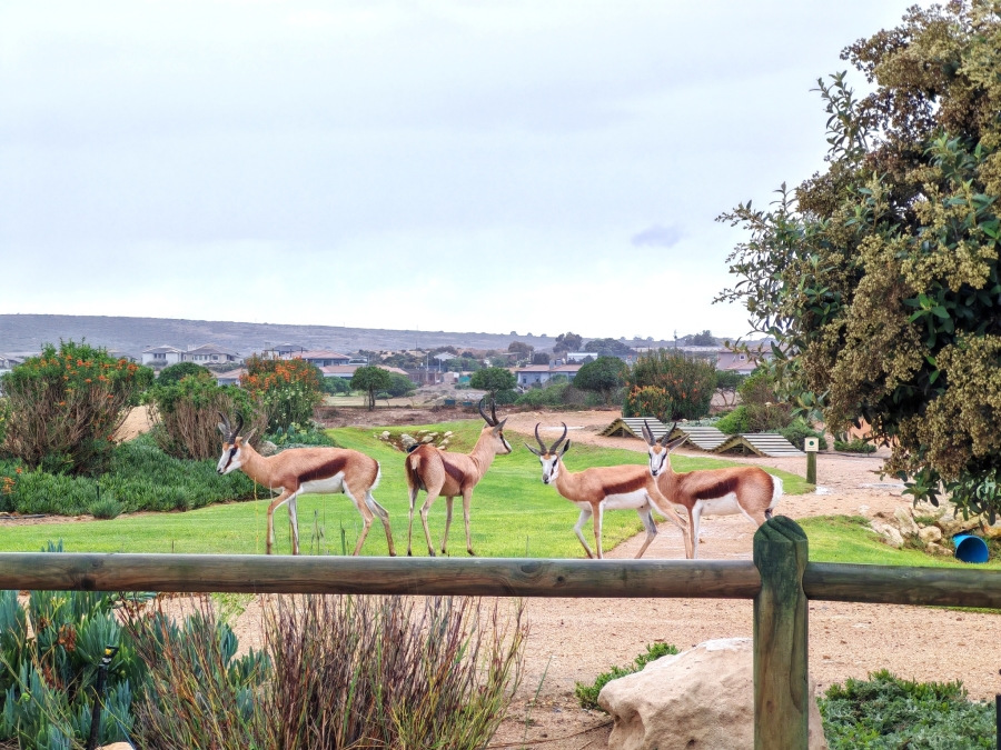 0 Bedroom Property for Sale in Langebaan Country Estate Western Cape